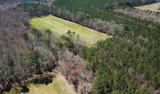 Photo #18 of Off Freeman Mill Rd, Whaleyville, VA 59.0 acres