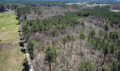 Photo #20 of Off Freeman Mill Rd, Whaleyville, VA 59.0 acres