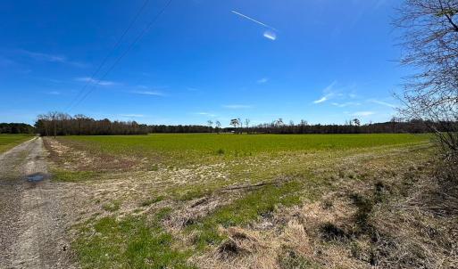 Photo #21 of Off Freeman Mill Rd, Whaleyville, VA 59.0 acres