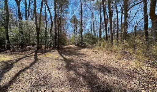 Photo #22 of Off Freeman Mill Rd, Whaleyville, VA 59.0 acres