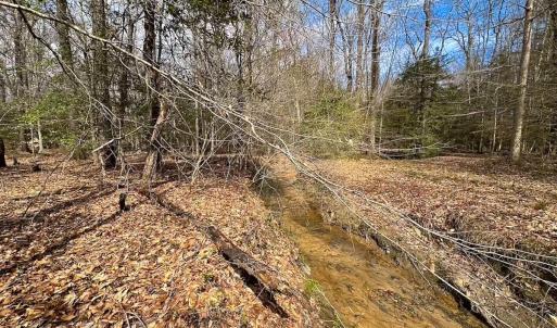 Photo #23 of Off Freeman Mill Rd, Whaleyville, VA 59.0 acres