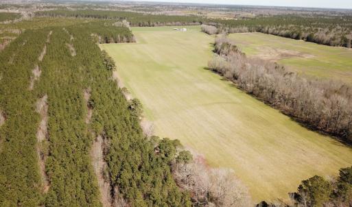 Photo #24 of Off Freeman Mill Rd, Whaleyville, VA 59.0 acres