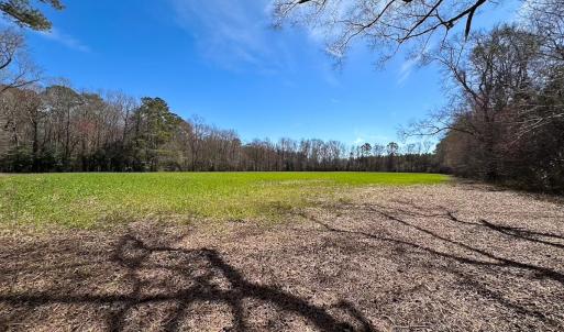 Photo #25 of Off Freeman Mill Rd, Whaleyville, VA 59.0 acres