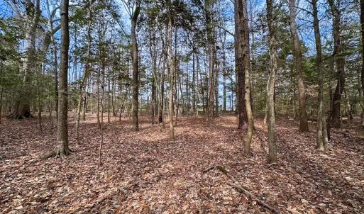 Photo #27 of Off Freeman Mill Rd, Whaleyville, VA 59.0 acres