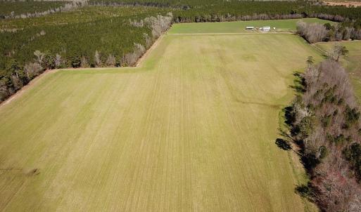 Photo #28 of Off Freeman Mill Rd, Whaleyville, VA 59.0 acres