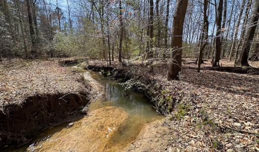 Photo #32 of Off Freeman Mill Rd, Whaleyville, VA 59.0 acres