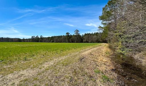 Photo #33 of Off Freeman Mill Rd, Whaleyville, VA 59.0 acres