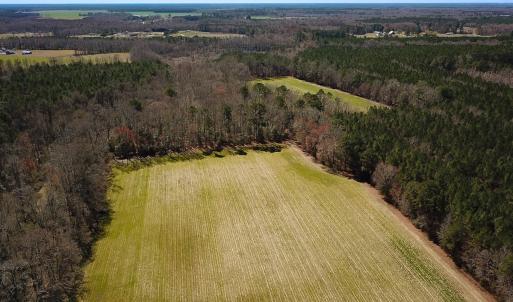 Photo #34 of Off Freeman Mill Rd, Whaleyville, VA 59.0 acres