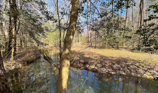 Photo #35 of Off Freeman Mill Rd, Whaleyville, VA 59.0 acres