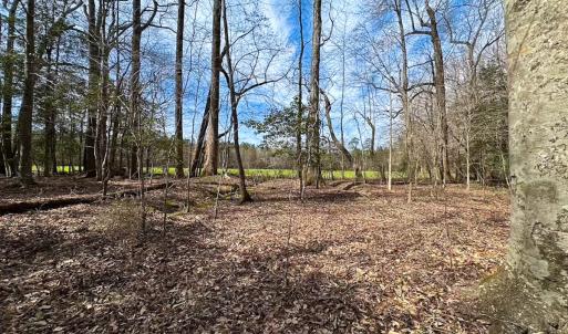 Photo #38 of Off Freeman Mill Rd, Whaleyville, VA 59.0 acres