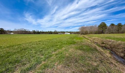 Photo #40 of Off Freeman Mill Rd, Whaleyville, VA 59.0 acres