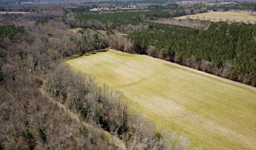Photo #41 of Off Freeman Mill Rd, Whaleyville, VA 59.0 acres