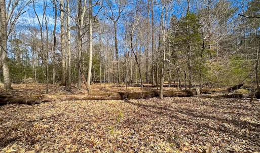 Photo #42 of Off Freeman Mill Rd, Whaleyville, VA 59.0 acres