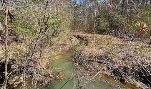 Photo #43 of Off Freeman Mill Rd, Whaleyville, VA 59.0 acres