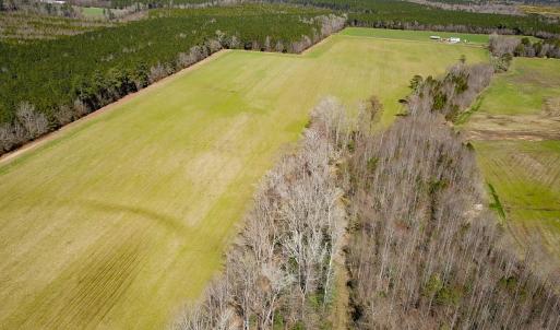 Photo #44 of Off Freeman Mill Rd, Whaleyville, VA 59.0 acres