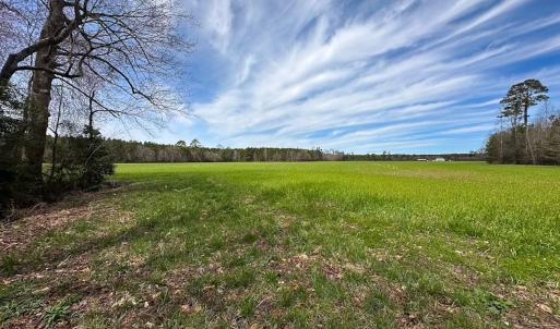 Photo #45 of Off Freeman Mill Rd, Whaleyville, VA 59.0 acres