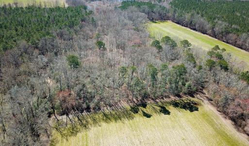 Photo #48 of Off Freeman Mill Rd, Whaleyville, VA 59.0 acres