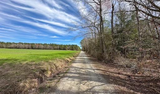Photo #49 of Off Freeman Mill Rd, Whaleyville, VA 59.0 acres
