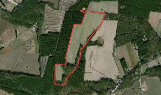 Photo #50 of Off Freeman Mill Rd, Whaleyville, VA 59.0 acres