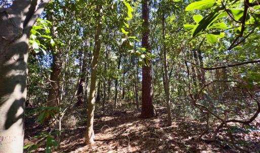 Photo #13 of SOLD property in Off Minturn Avenue, Hamlet , NC 0.8 acres