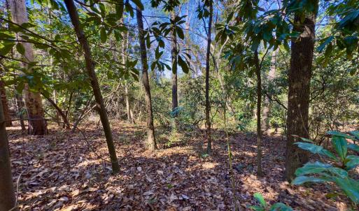 Photo #14 of SOLD property in Off Minturn Avenue, Hamlet , NC 0.8 acres