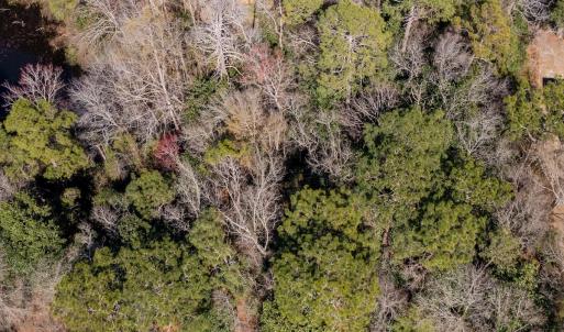 Photo #16 of SOLD property in Off Minturn Avenue, Hamlet , NC 0.8 acres
