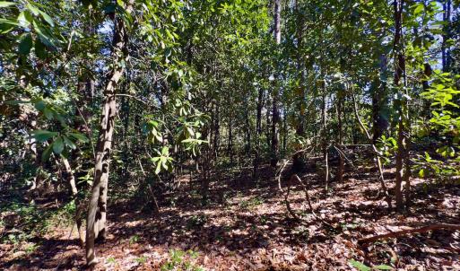 Photo #17 of SOLD property in Off Minturn Avenue, Hamlet , NC 0.8 acres