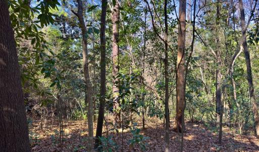 Photo #18 of SOLD property in Off Minturn Avenue, Hamlet , NC 0.8 acres