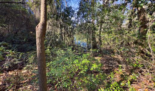 Photo #19 of SOLD property in Off Minturn Avenue, Hamlet , NC 0.8 acres