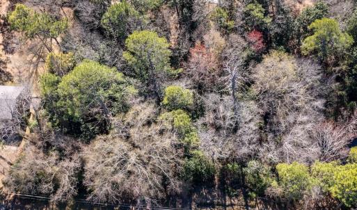 Photo #1 of SOLD property in Off Minturn Avenue, Hamlet , NC 0.8 acres