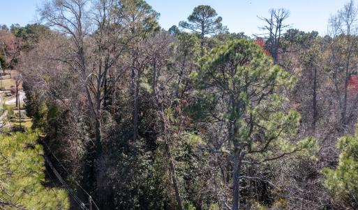 Photo #6 of SOLD property in Off Minturn Avenue, Hamlet , NC 0.8 acres