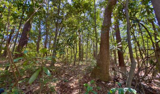 Photo #7 of SOLD property in Off Minturn Avenue, Hamlet , NC 0.8 acres