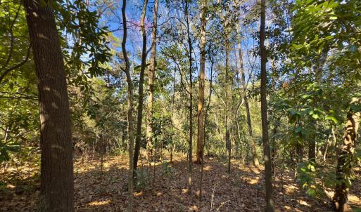 Photo #8 of SOLD property in Off Minturn Avenue, Hamlet , NC 0.8 acres