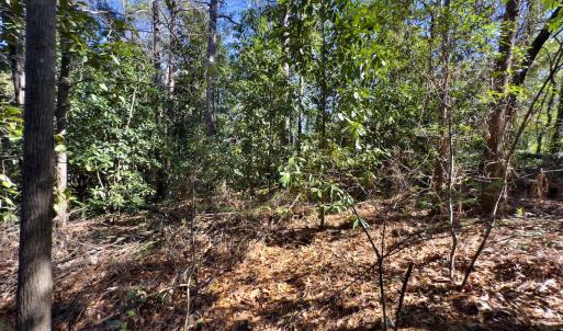 Photo #22 of SOLD property in Off Minturn Avenue, Hamlet , NC 0.8 acres
