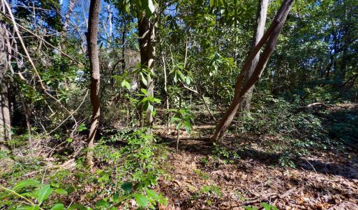 Photo #23 of SOLD property in Off Minturn Avenue, Hamlet , NC 0.8 acres