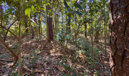 Photo #24 of SOLD property in Off Minturn Avenue, Hamlet , NC 0.8 acres