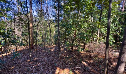 Photo #26 of SOLD property in Off Minturn Avenue, Hamlet , NC 0.8 acres