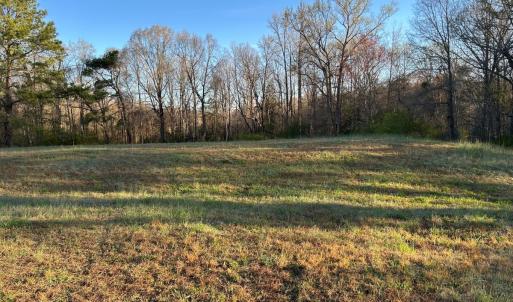 Photo #9 of 1006 Stephenson Road, Benson, NC 7.5 acres