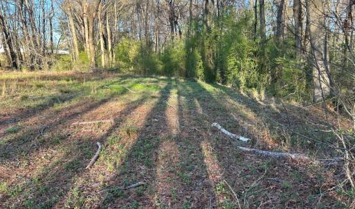 Photo #14 of 1006 Stephenson Road, Benson, NC 7.5 acres