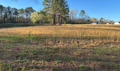 Photo #16 of 1006 Stephenson Road, Benson, NC 7.5 acres