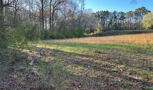 Photo #17 of 1006 Stephenson Road, Benson, NC 7.5 acres