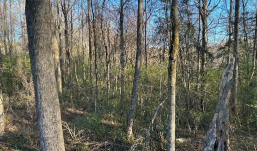 Photo #18 of 1006 Stephenson Road, Benson, NC 7.5 acres