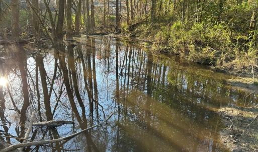 Photo #20 of 1006 Stephenson Road, Benson, NC 7.5 acres