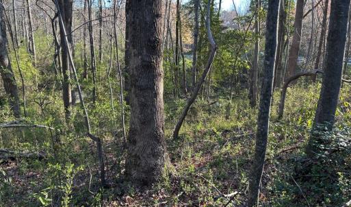 Photo #21 of 1006 Stephenson Road, Benson, NC 7.5 acres