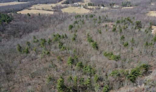 Photo #1 of Off Misty Acres Lane, Meadows of Dan, VA 4.9 acres
