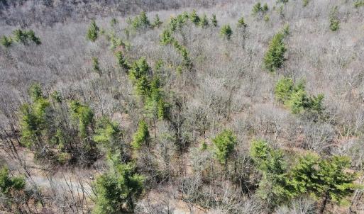 Photo #2 of Off Misty Acres Lane, Meadows of Dan, VA 4.9 acres