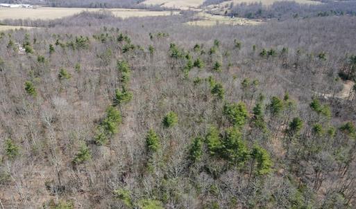 Photo #9 of Off Misty Acres Lane, Meadows of Dan, VA 4.9 acres