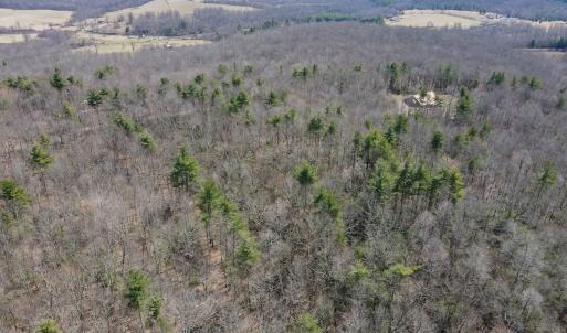 Photo #11 of Off Misty Acres Lane, Meadows of Dan, VA 4.9 acres