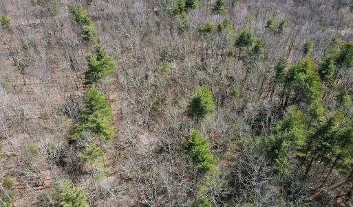 Photo #12 of Off Misty Acres Lane, Meadows of Dan, VA 4.9 acres