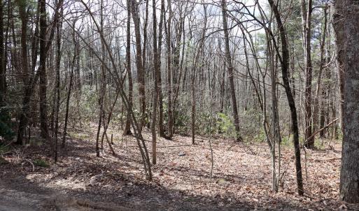 Photo #13 of Off Misty Acres Lane, Meadows of Dan, VA 4.9 acres